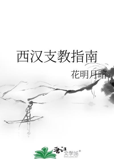 西汉支教指南免费