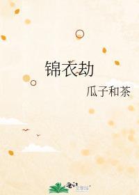 锦衣劫TXT