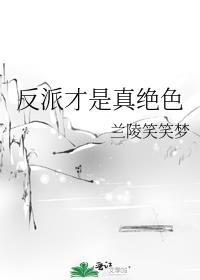 反派才是真绝色兰陵笑笑梦