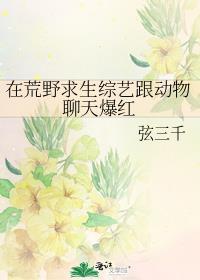 荒野求生 节目