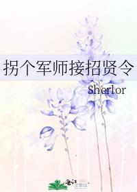 拐个侍卫来成亲是什么