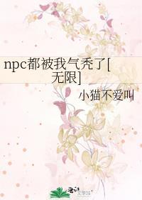 npc都爱我