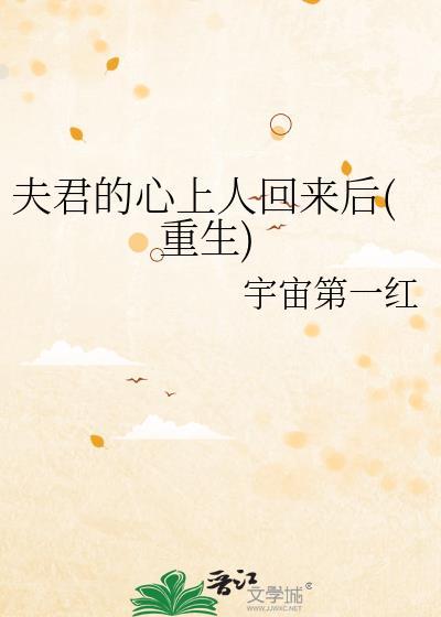 夫君的心上人回来后(重生)盘