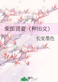 柴郎贤妻在线阅读