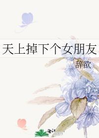 天上掉下来个少女