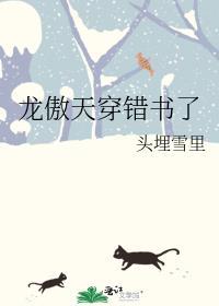 龙傲天穿错书了TXT趣书网