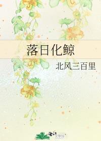 落日化鲸好看吗