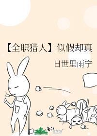 全职猎人x你乙女