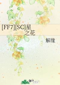 ff7re星辰守护