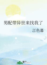 穿越异世男配