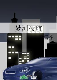 梦河夜航番外txt百度