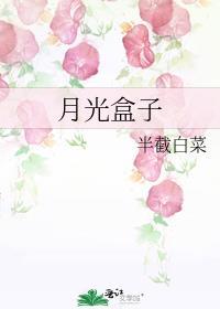 月光盒子番外