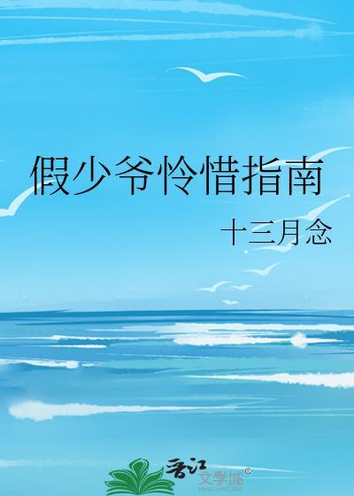 假少爷怜惜指南txt百度