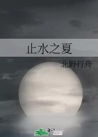 止水之死视频