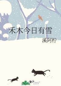 禾木今日有雪txt百度