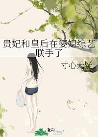 皇后和贵妃吵架