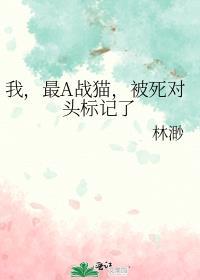 我最a战猫被死对头标记了全文免费阅读