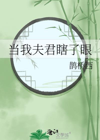 当我夫君瞎了眼笔趣阁