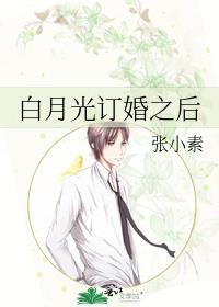 白月光婚后是舔狗by早鹿