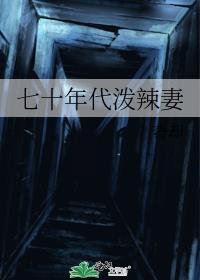 重生70年代泼辣女