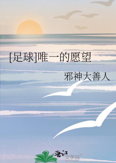 足球唯一的愿望txt百度资源
