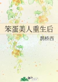 笨蛋美人重生后 鹊桥西讲了什么