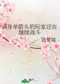 满身单箭头的玩家还在继续战斗txt