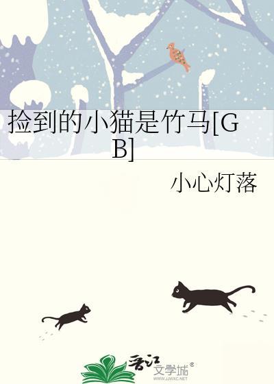 捡到小猫应该怎么办