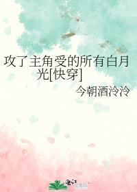 攻了主角受的所有白月光[快穿