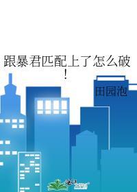 默尔索为什么开了五枪