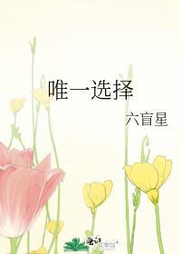 唯一选择六芒星