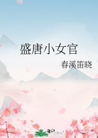 盛唐小女官百度