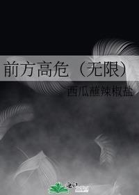 前方高能预警无防盗阅读
