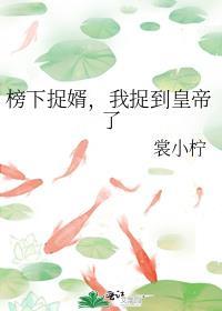 榜下捉婿全文免费阅读