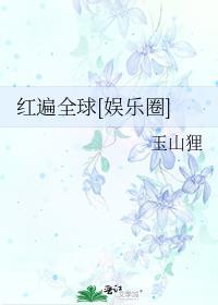 红遍全球txt