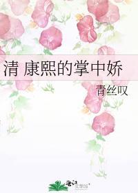 康熙掌权