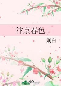 汴京春深无防盗