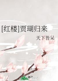 贾瑚的