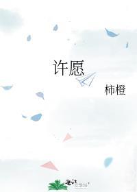 许愿宝库