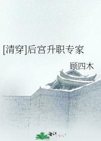 清穿后宫之哲哲