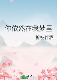 你依然在我心中是什么歌