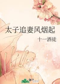 追妻的太子