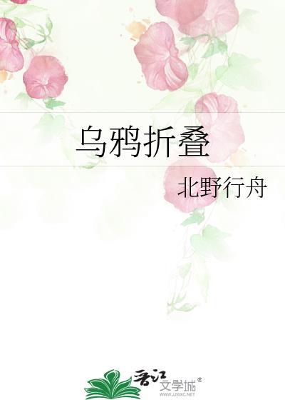 乌鸦折叠by北野行舟TXT