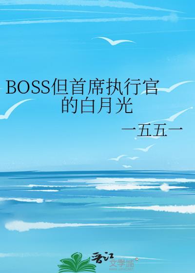首席执行官时长