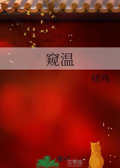 窥温txt