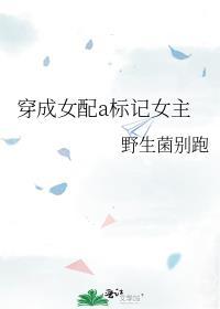 穿成女配a标记女主笔趣阁