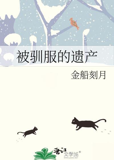 被驯服的遗产27