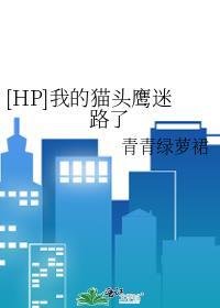 作者猫头鹰的