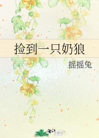 捡到一只奶狼讲的什么内容