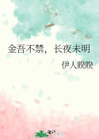 金吾不禁长夜未明讲的什么